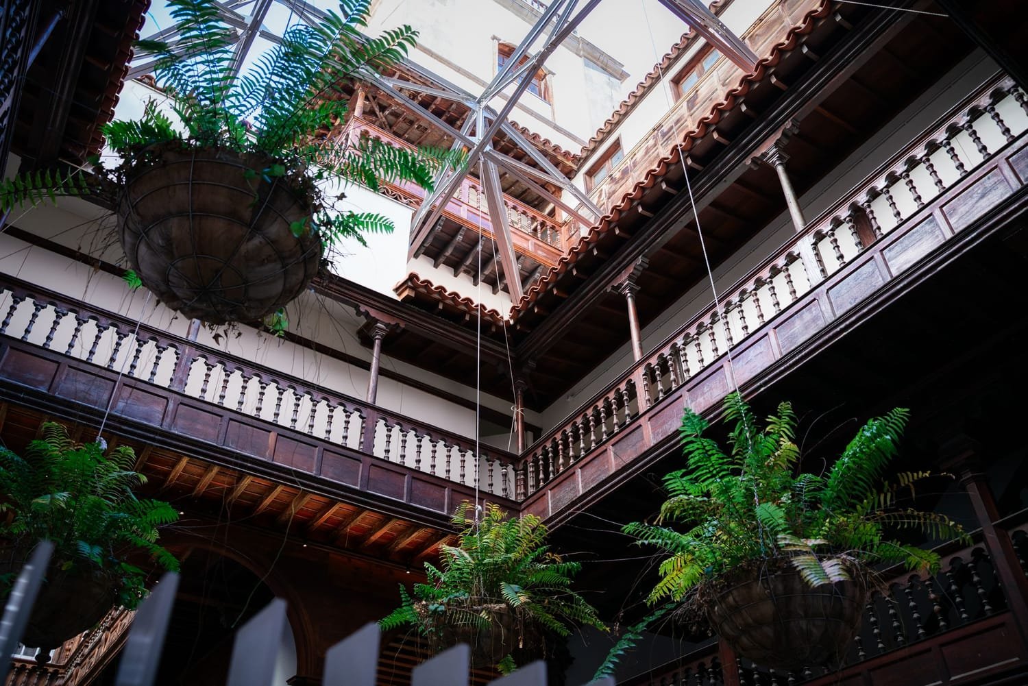 Sociedad de Desarrollo · Press trip · Santa Cruz de Tenerife. Fotografía de Jonay Del Castillo