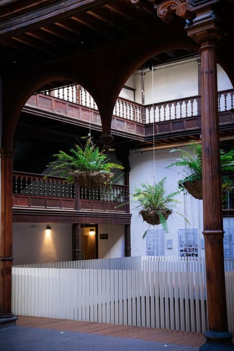 Sociedad de Desarrollo · Press trip · Santa Cruz de Tenerife. Fotografía de Jonay Del Castillo